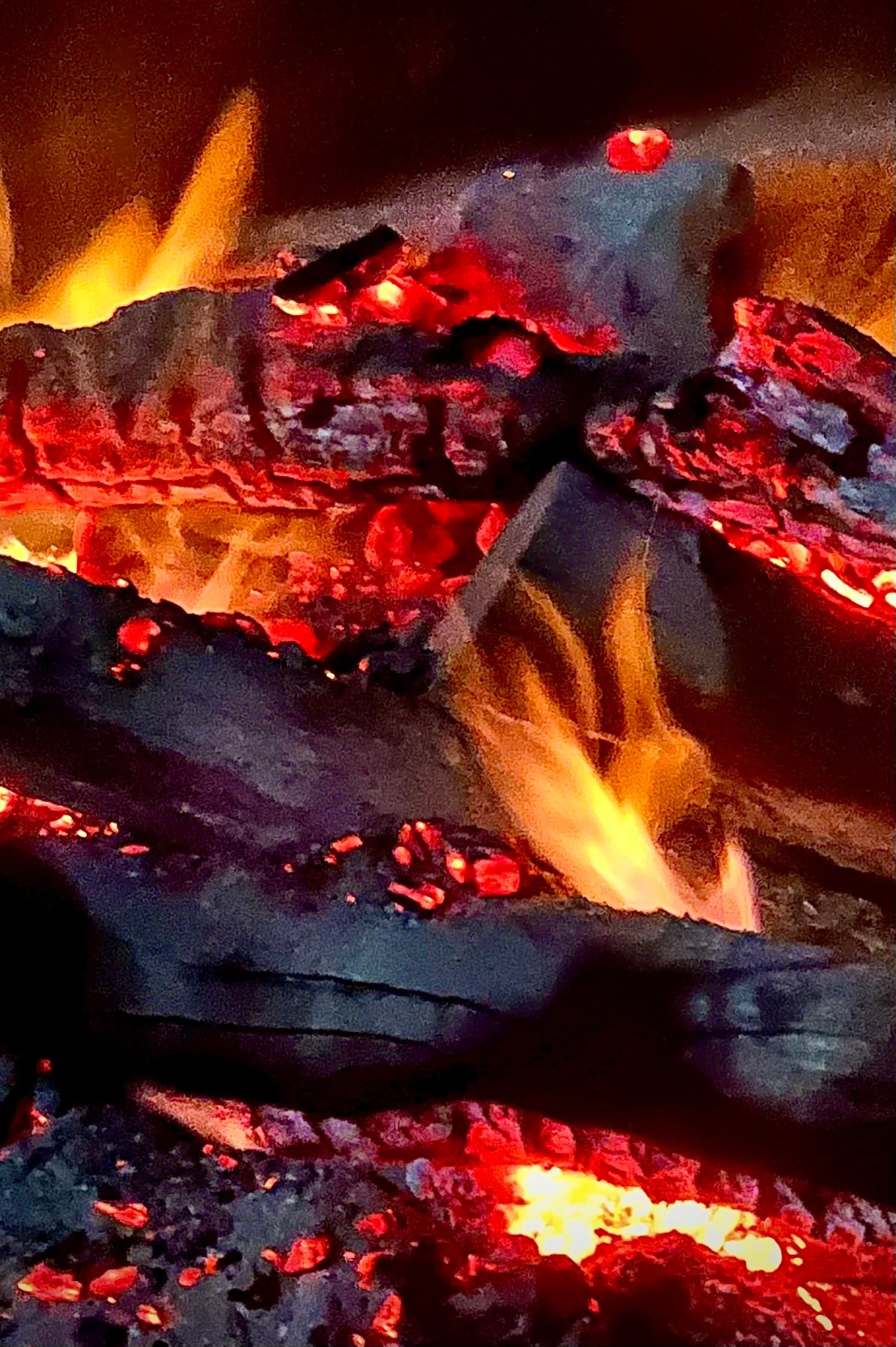 Velvet Heat— Digital Art Edition
