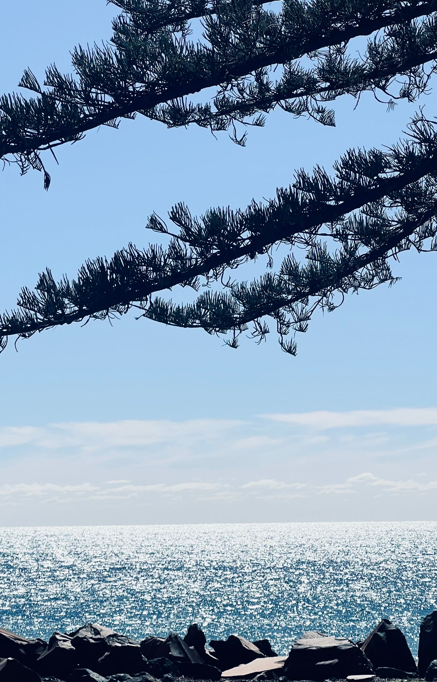 Silver Horizon — Digital Art Edition