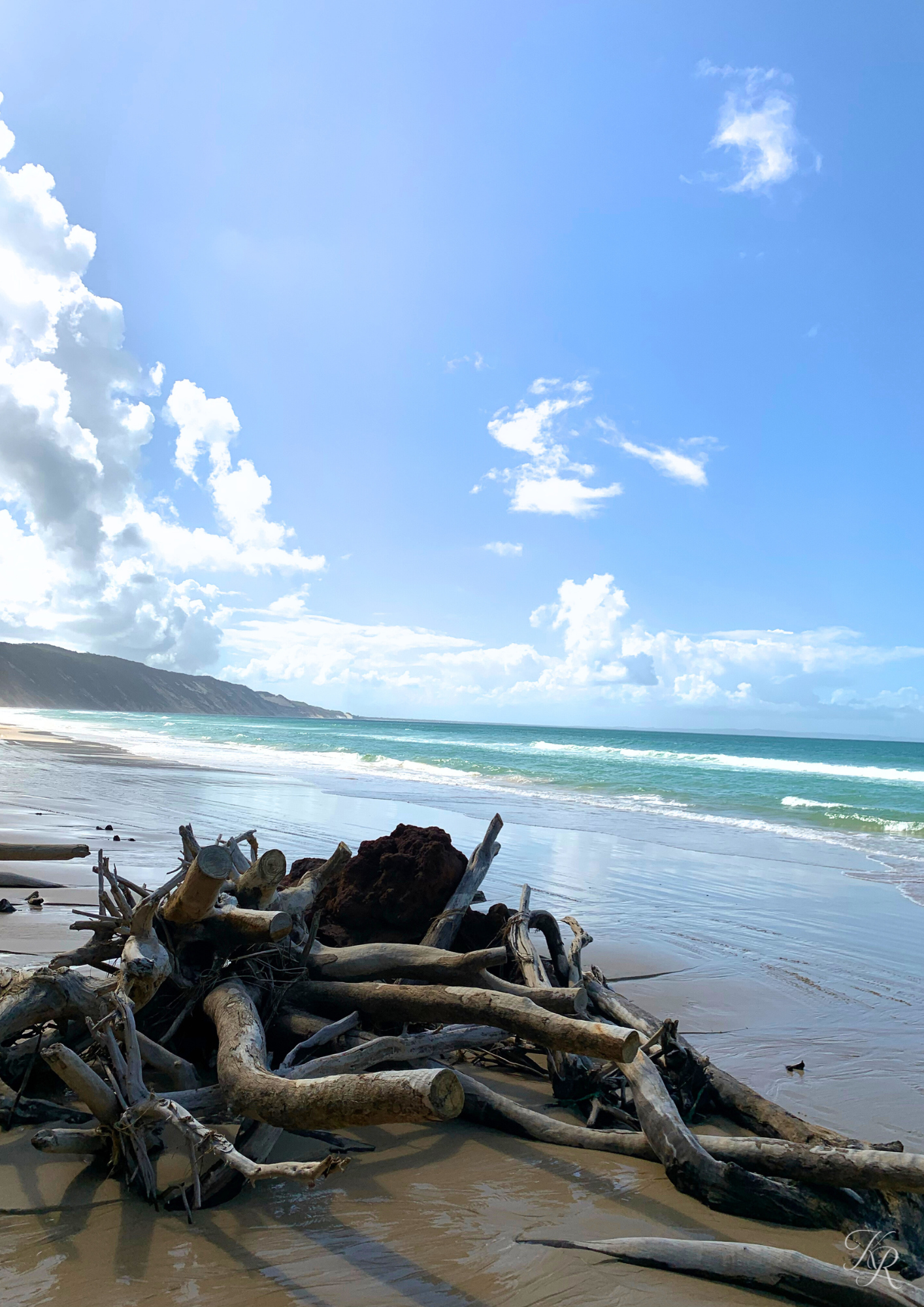 Driftwood Serenity 1