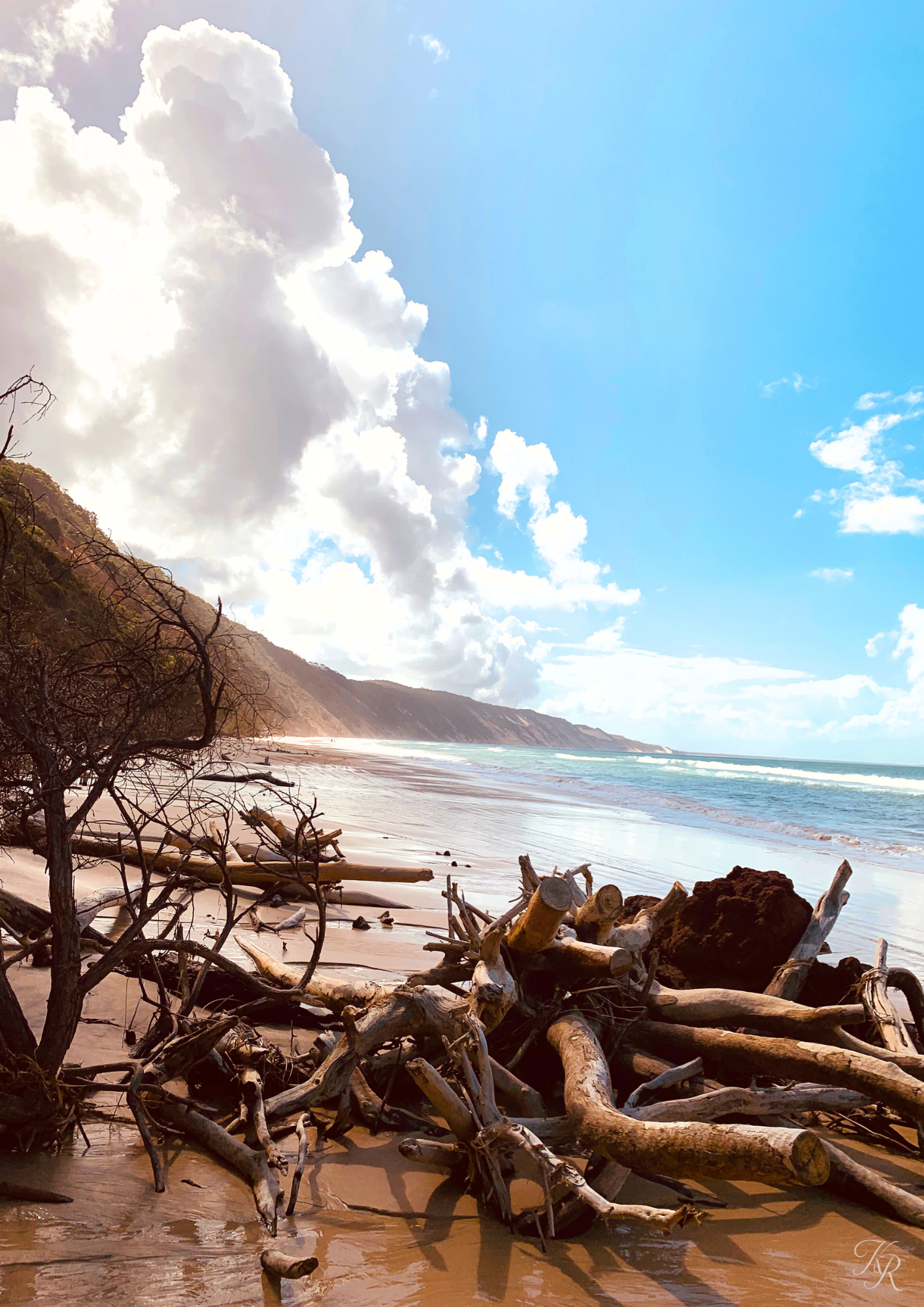 Driftwood Serenity 2