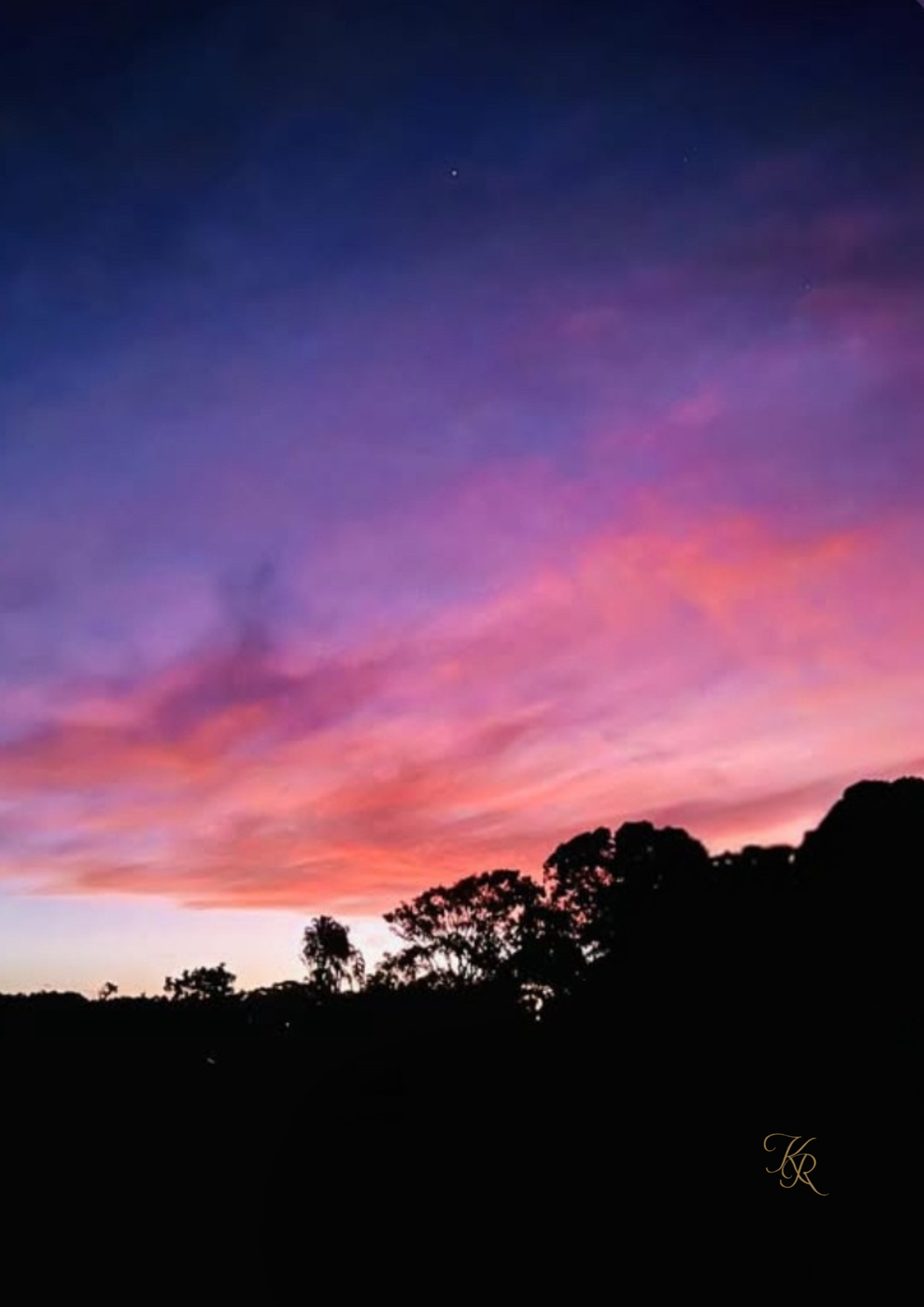 Evening's Embrace
