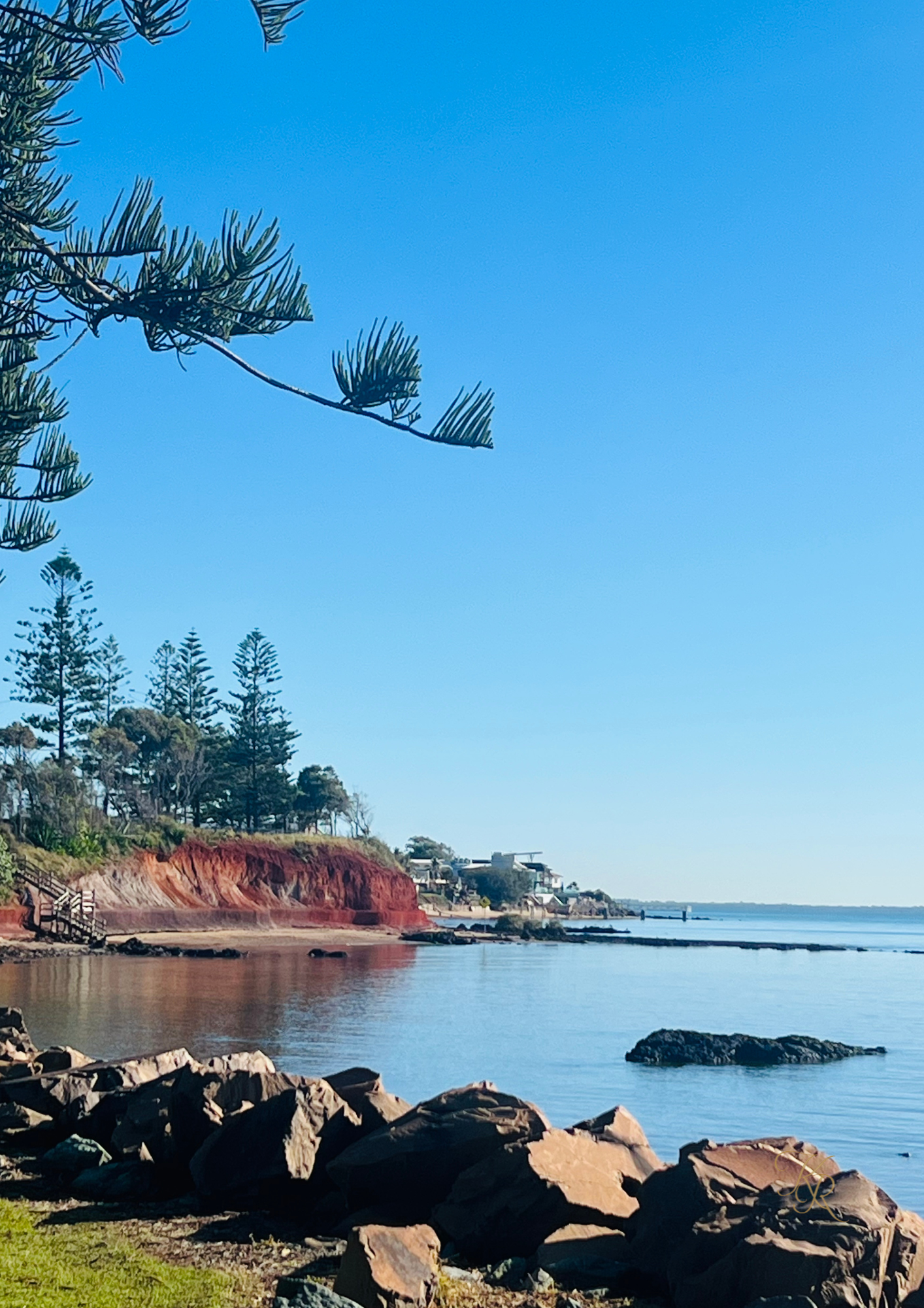 Shoreline Stillness
