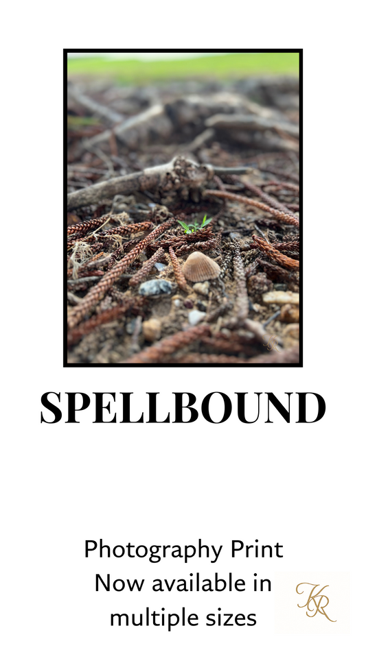 Spellbound