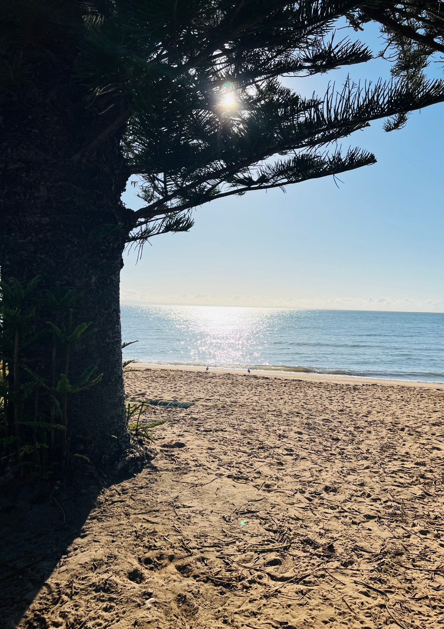 Sunlight Keeps Its Promises