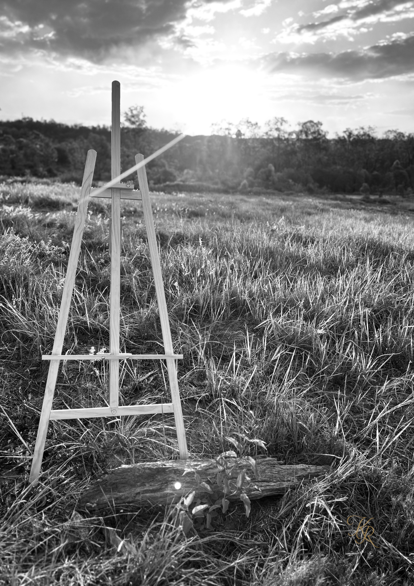 The Field Remembers