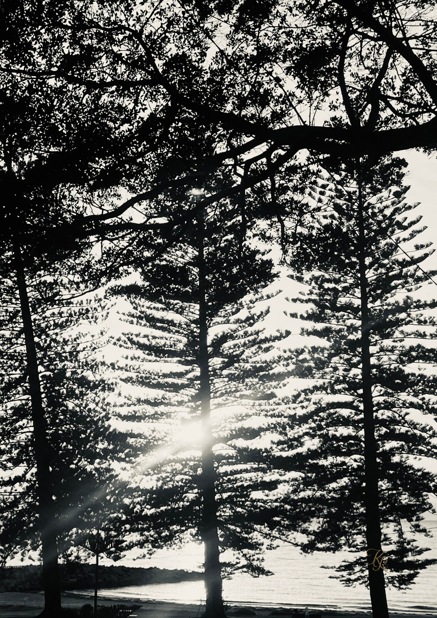 Through the Silence