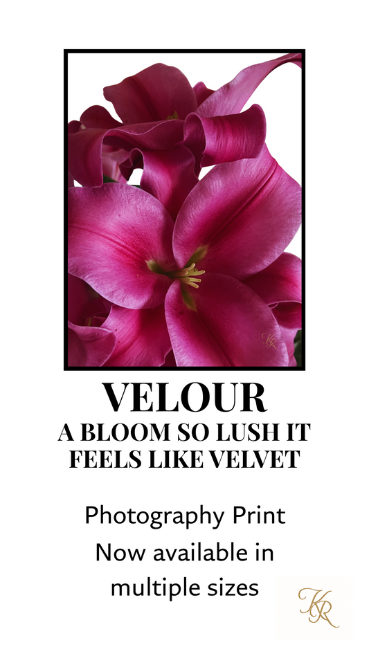 Velour