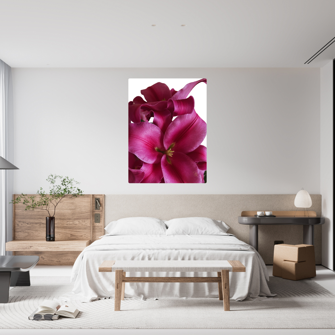 Velour — Digital Art Edition