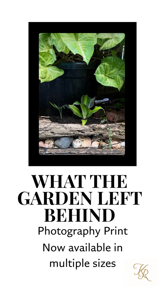 What the Garden Left Behind