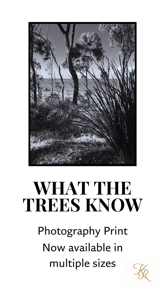 What the Trees Know