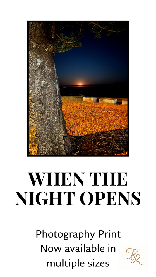 When the Night Opens