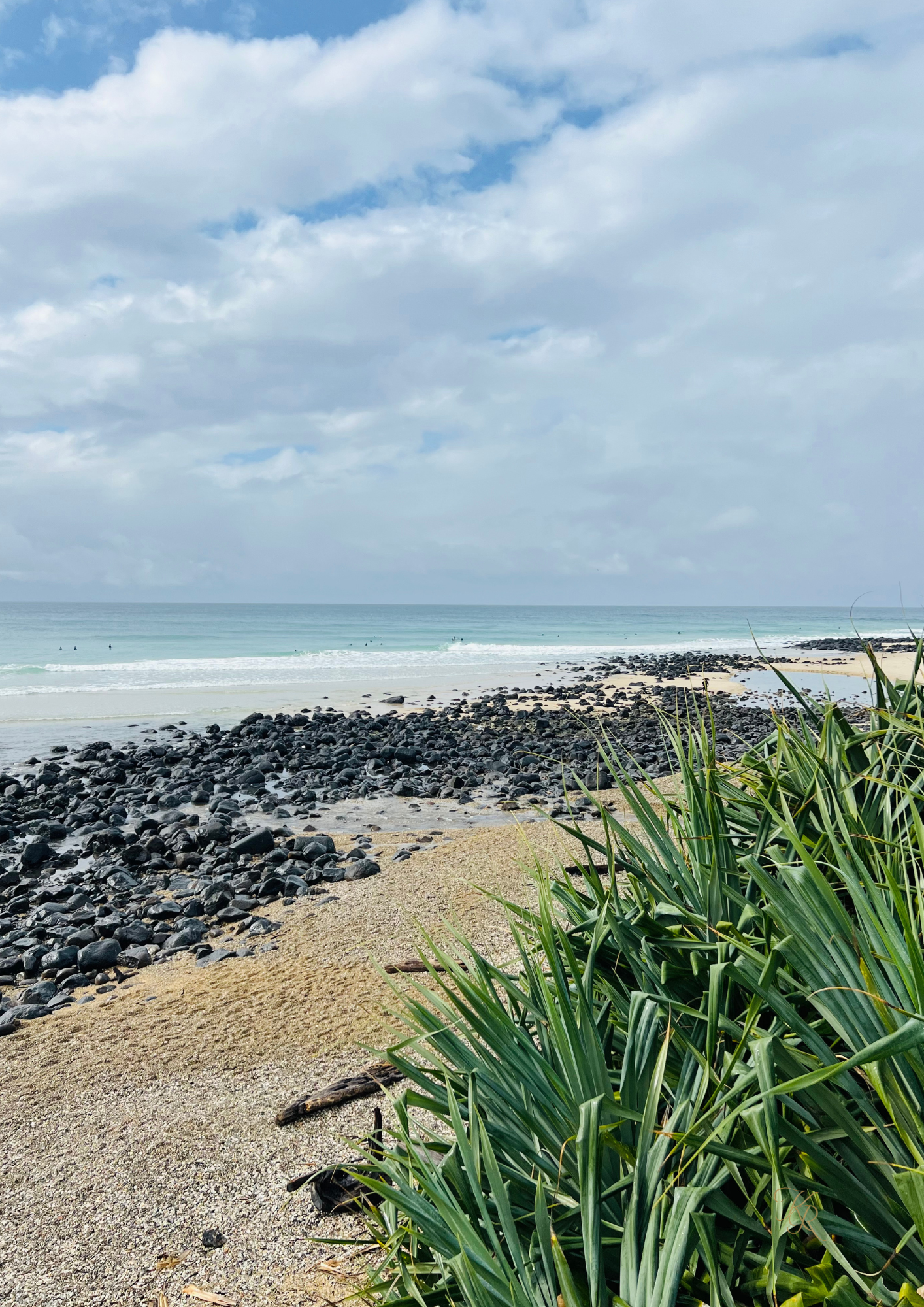 Where the Shore Settles