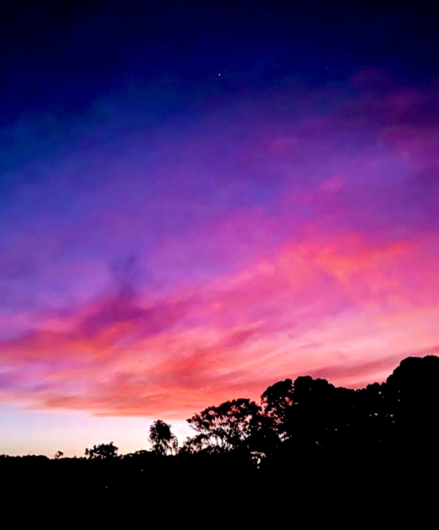 Evening's Embrace