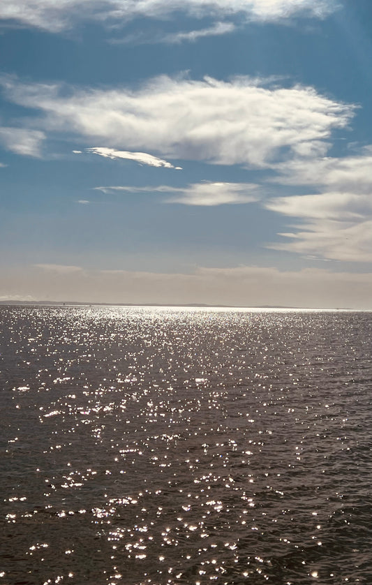 The Calm that Commands — Digital Art Edition