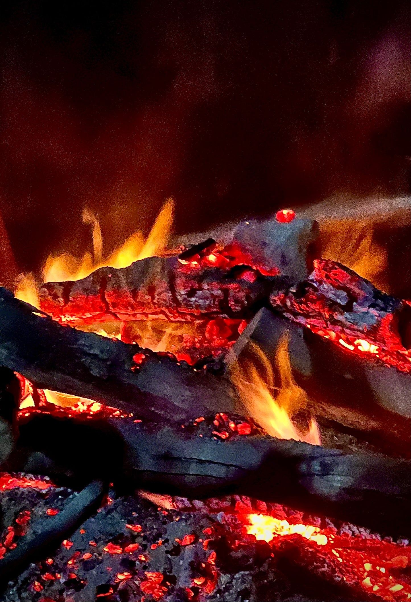 Velvet Heat— Digital Art Edition