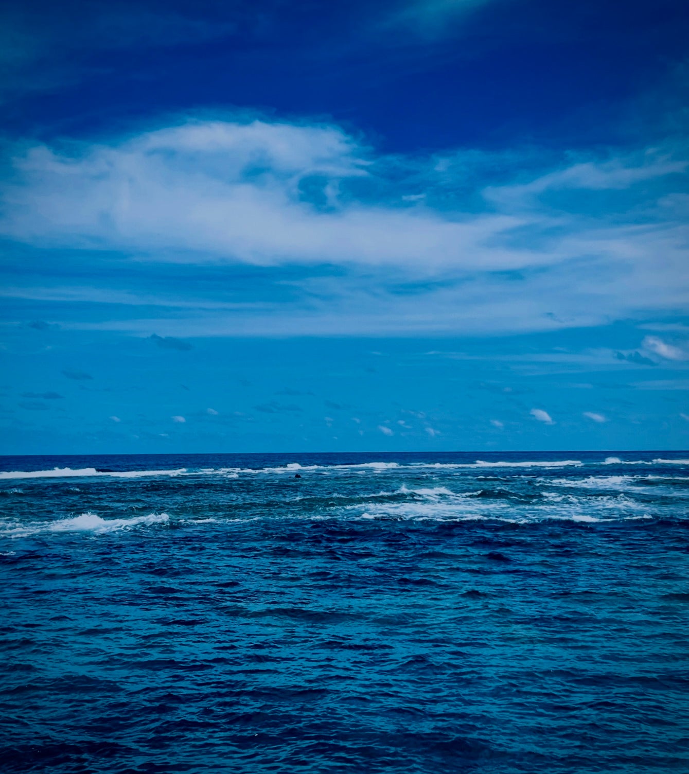 What the Ocean Keeps