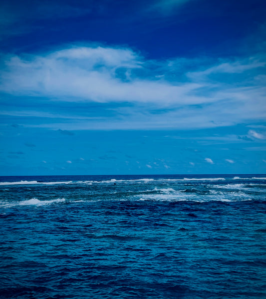 What the Ocean Keeps — Digital Art Edition