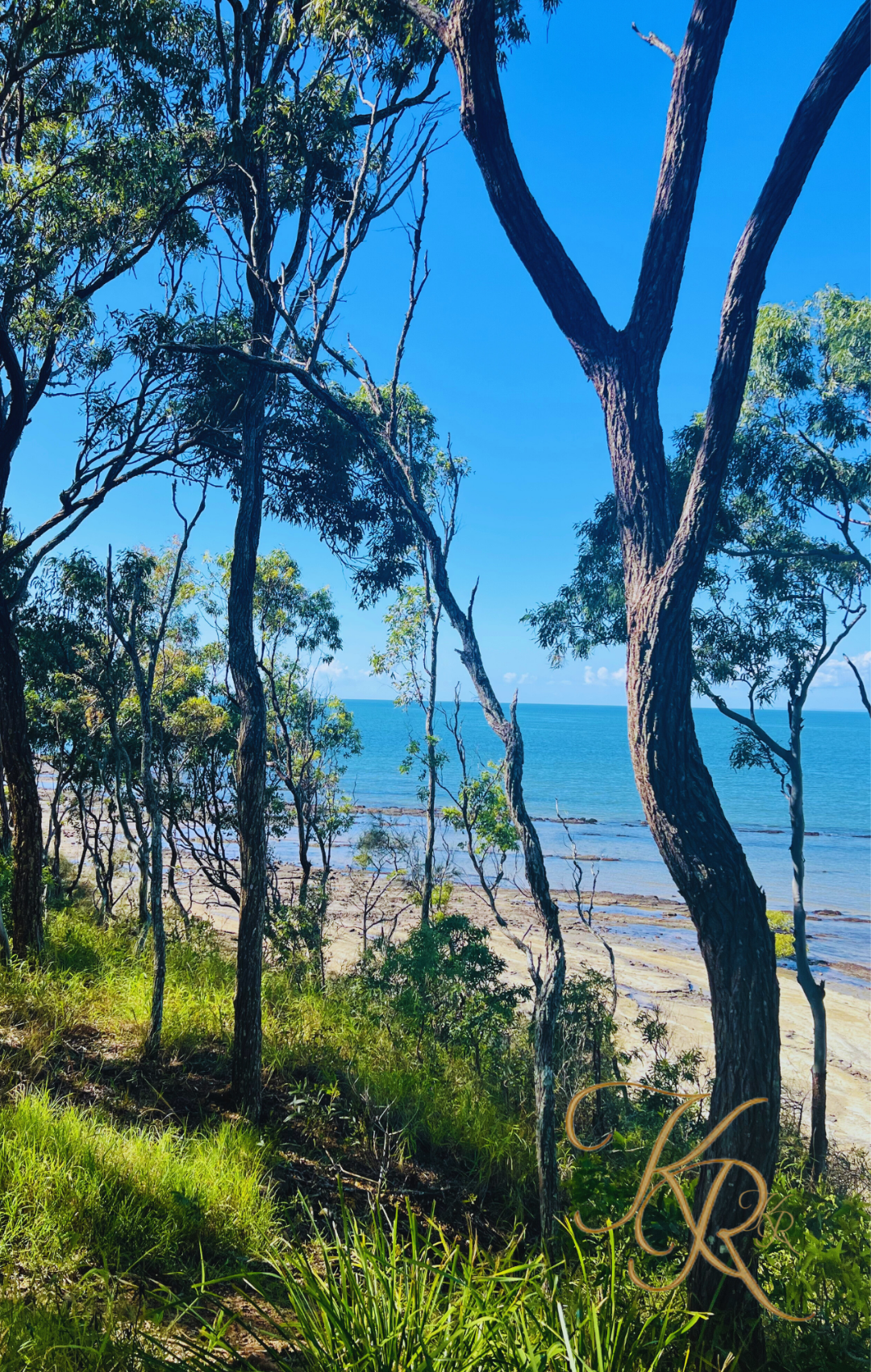 Between the Trees and Tide — Digital Art Edition