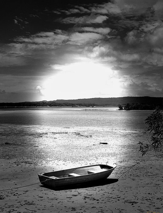 Luminous Low Tide