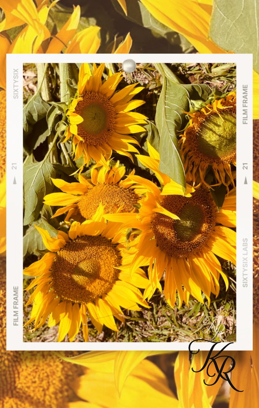 Enduring Light — Digital Art Edition