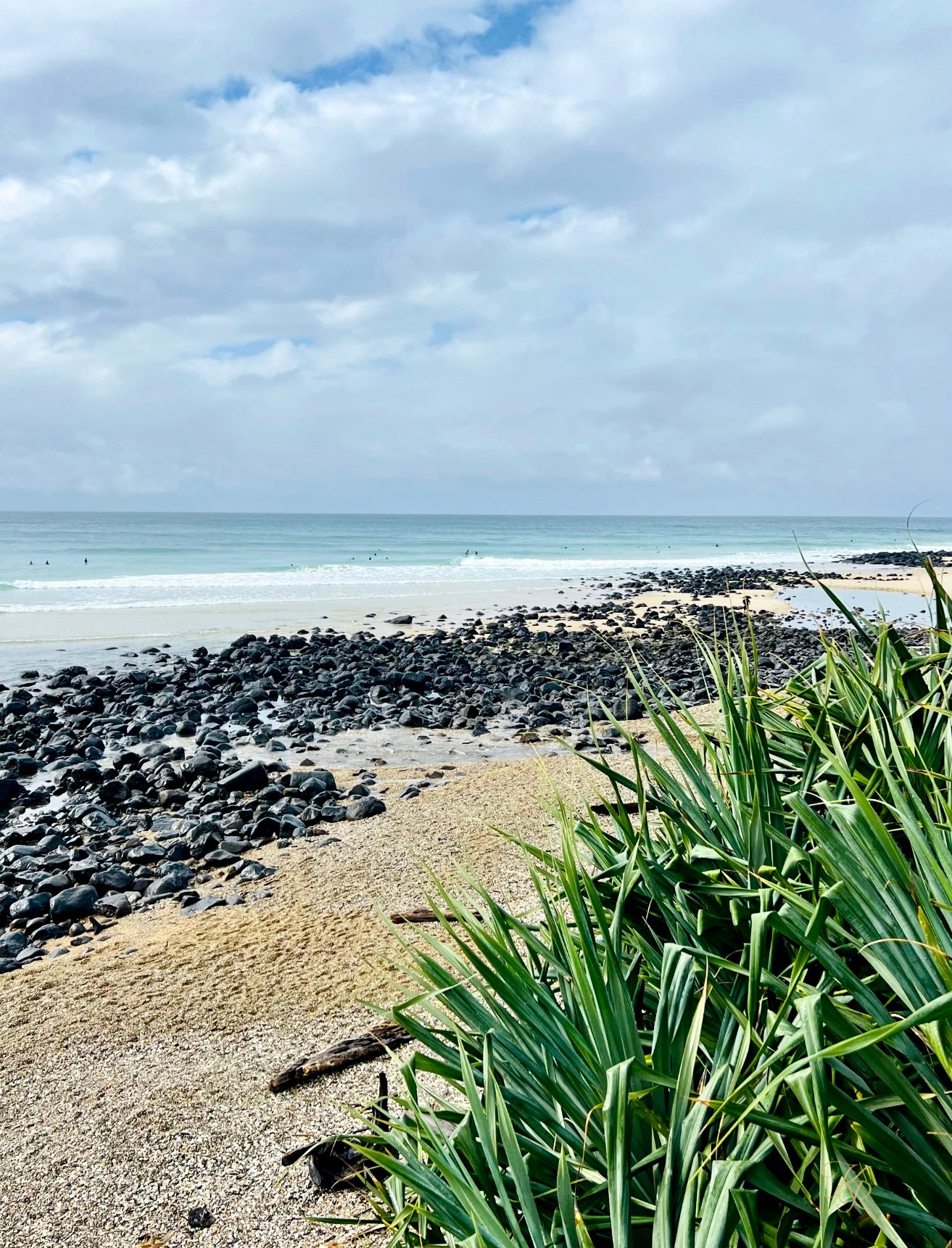 Where the Shore Settles
