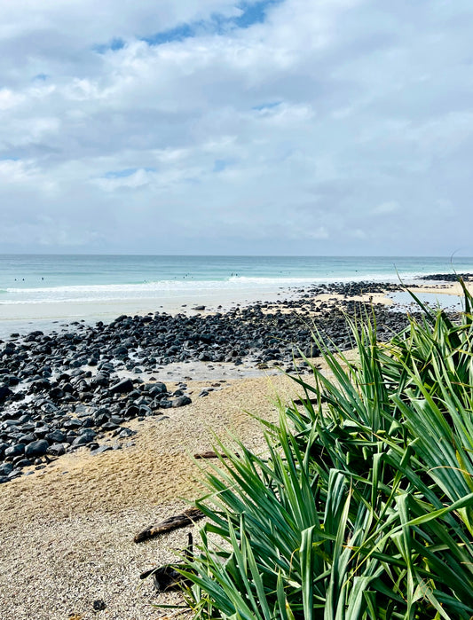 Where the Shore Settles