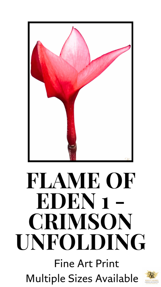 Flame of Eden I – Crimson Unfolding