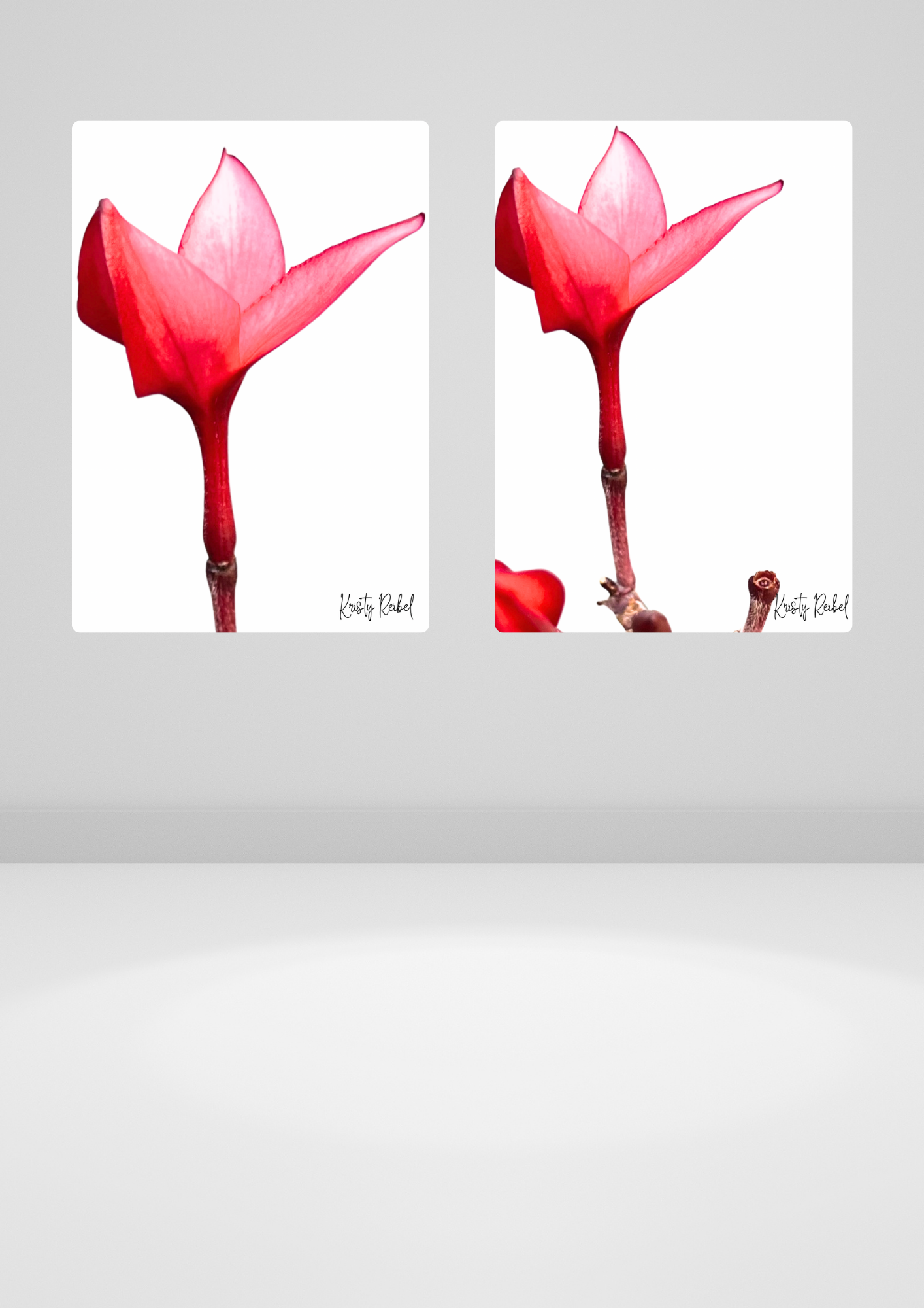 Flame of Eden 2 – Petal of Passion