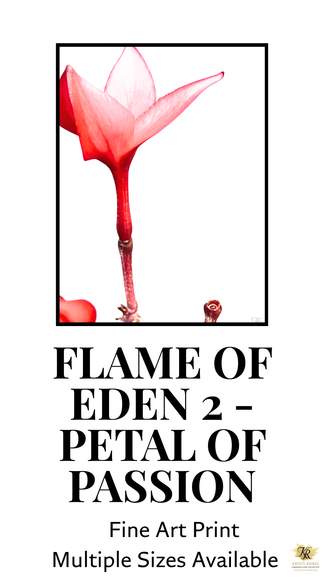 Flame of Eden 2 – Petal of Passion