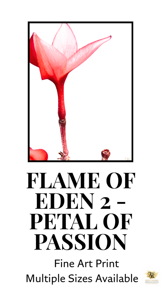 Flame of Eden 2 – Petal of Passion