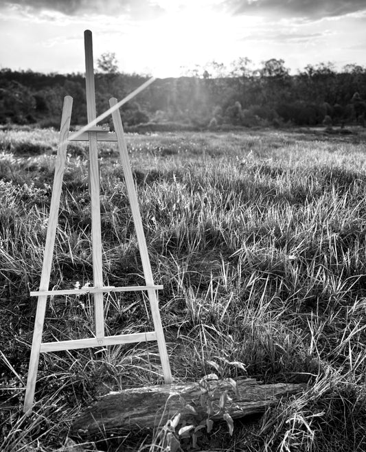 The Field Remembers