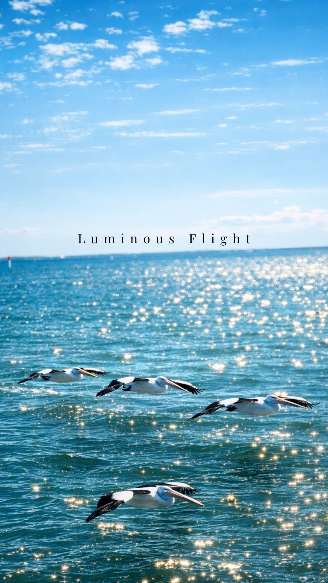 Luminous Flight — Digital Art Edition