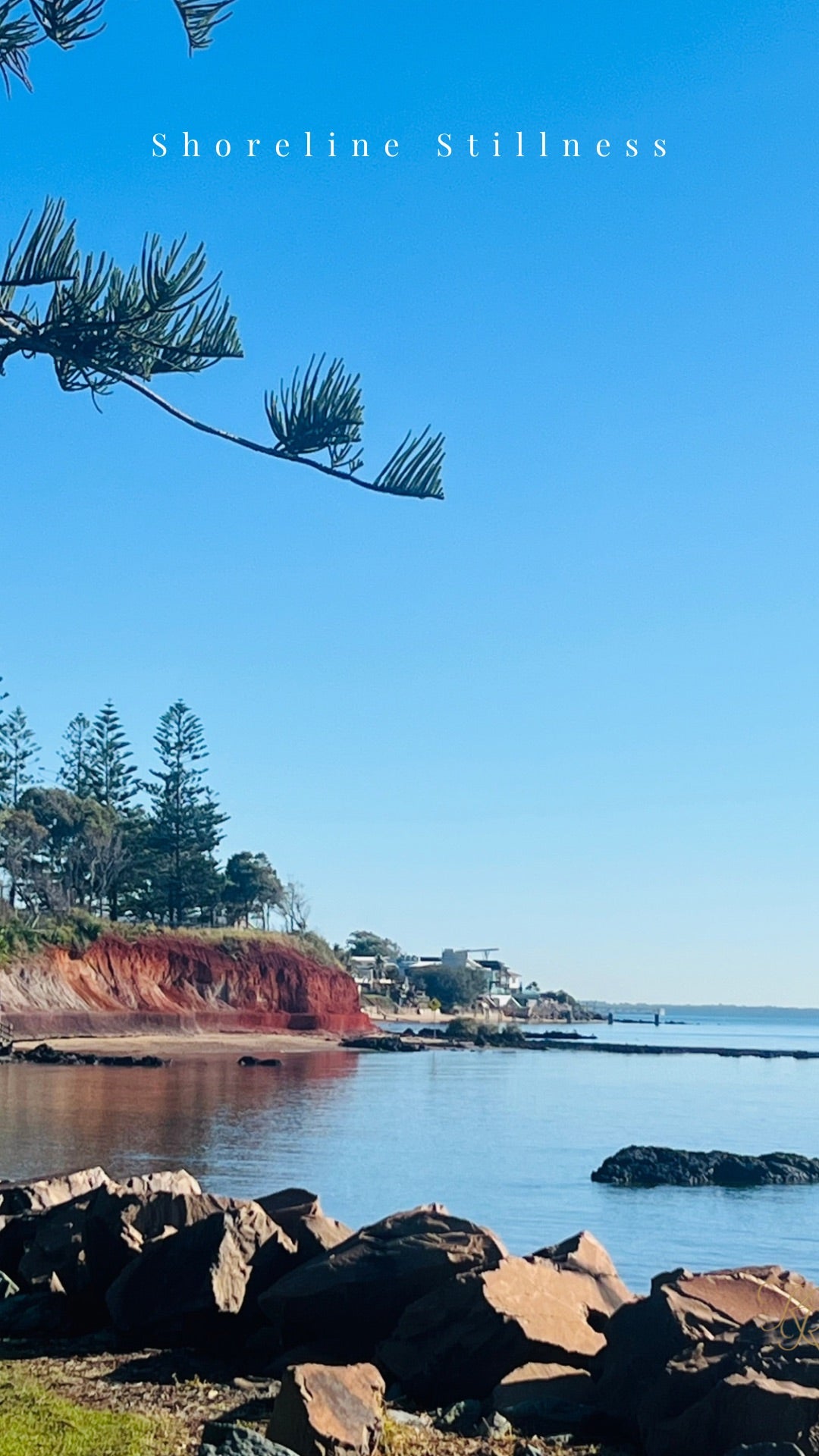 Shoreline Stillness