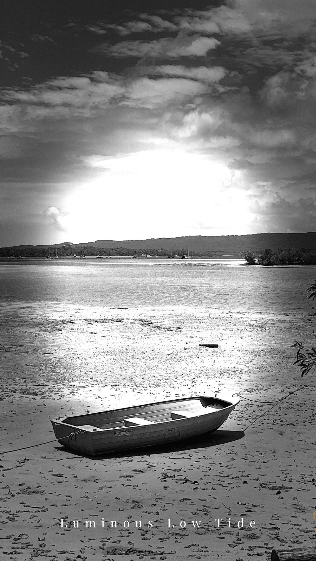 Luminous Low Tide