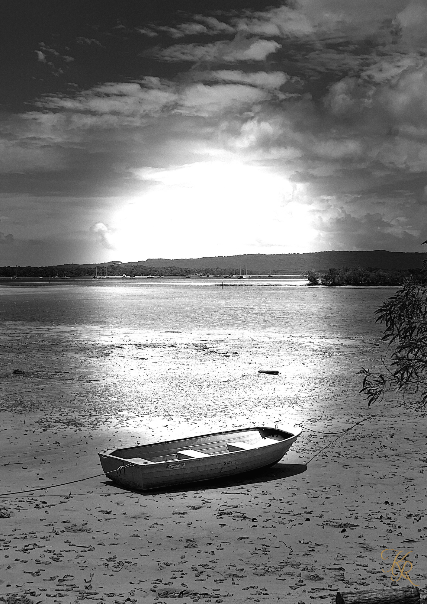 Luminous Low Tide