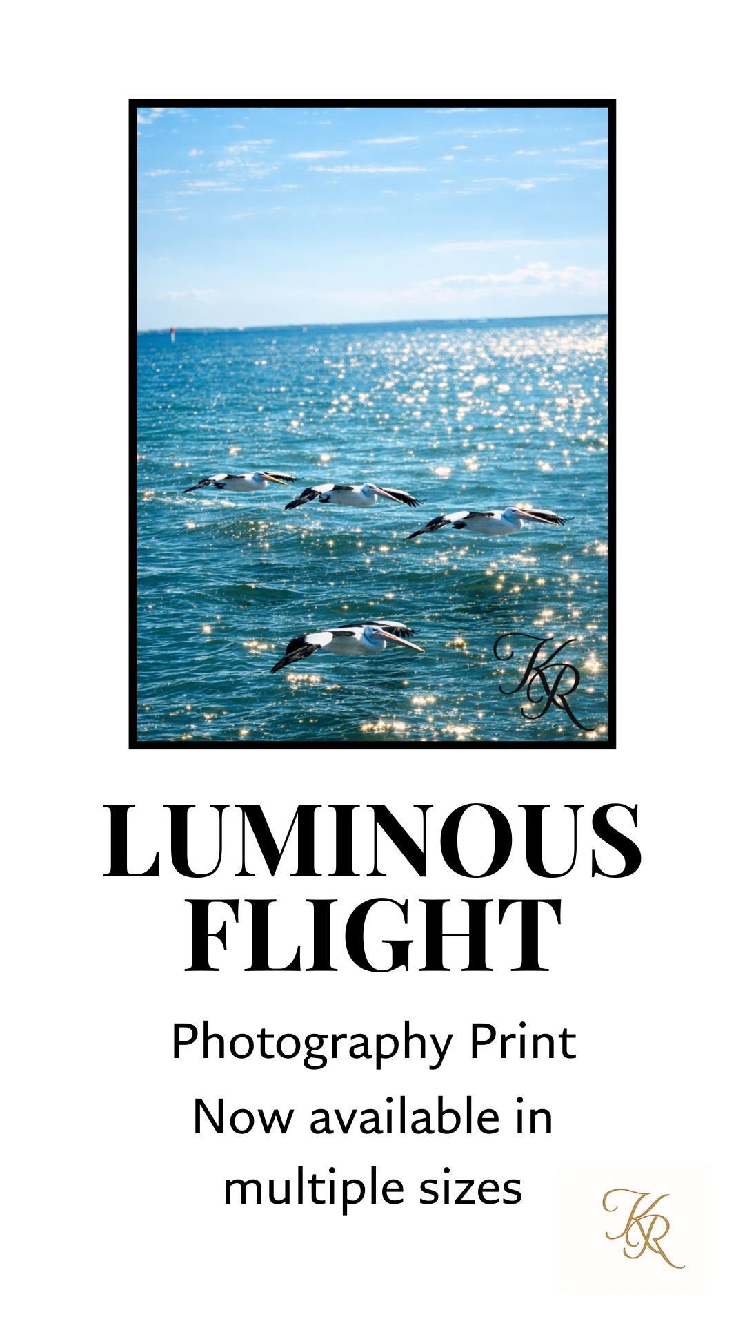 Luminous Flight