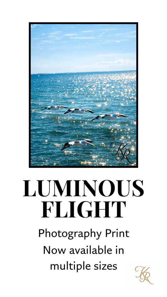 Luminous Flight