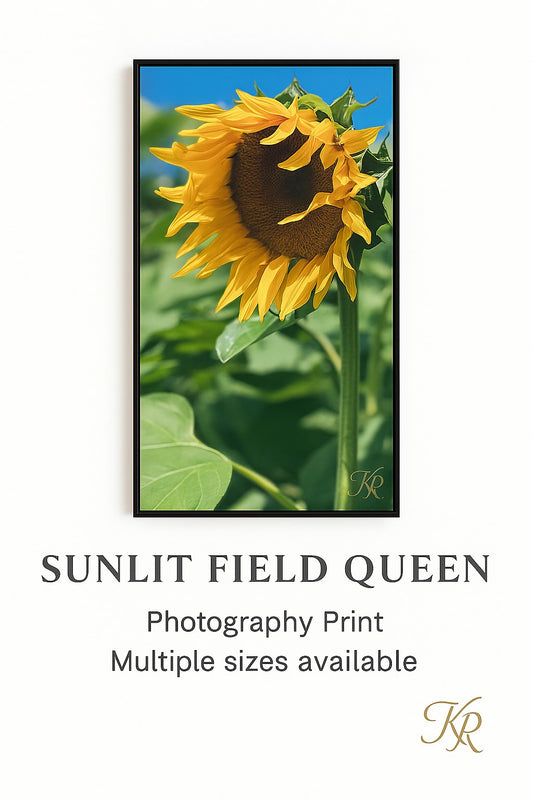 Sunlit Field Queen
