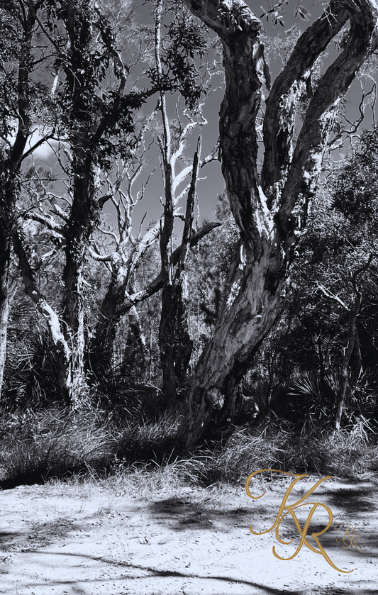 The Hold of the Wild — Digital Art Edition