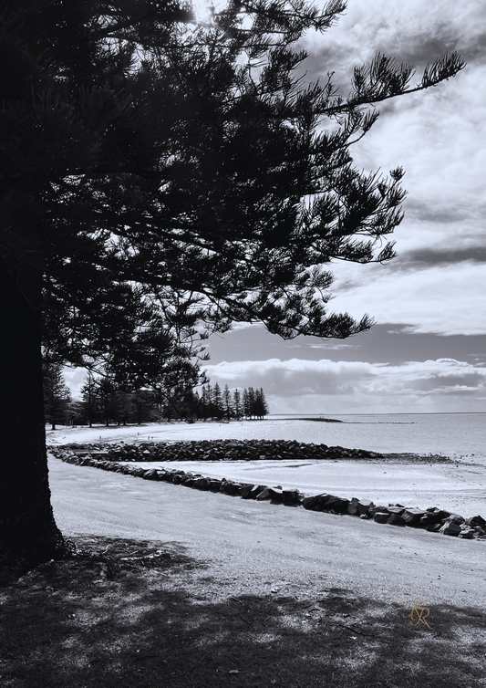 The Watcher’s Pause — Digital Art Edition