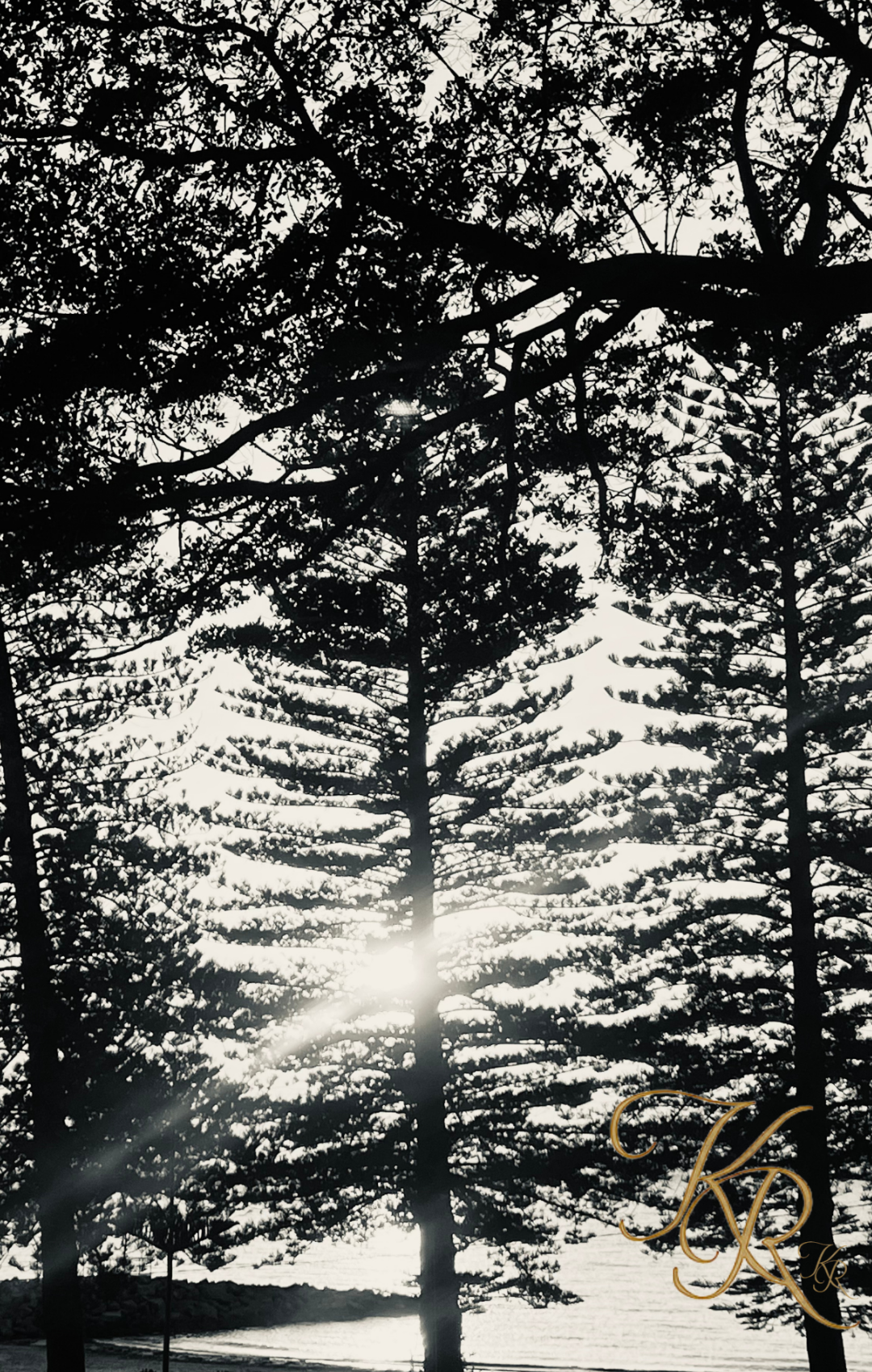 Through the Silence — Digital Art Edition