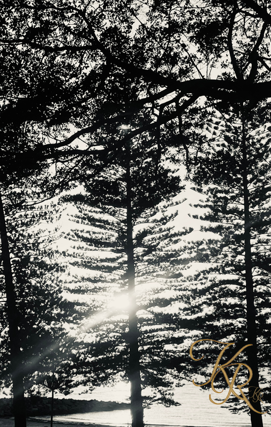 Through the Silence — Digital Art Edition