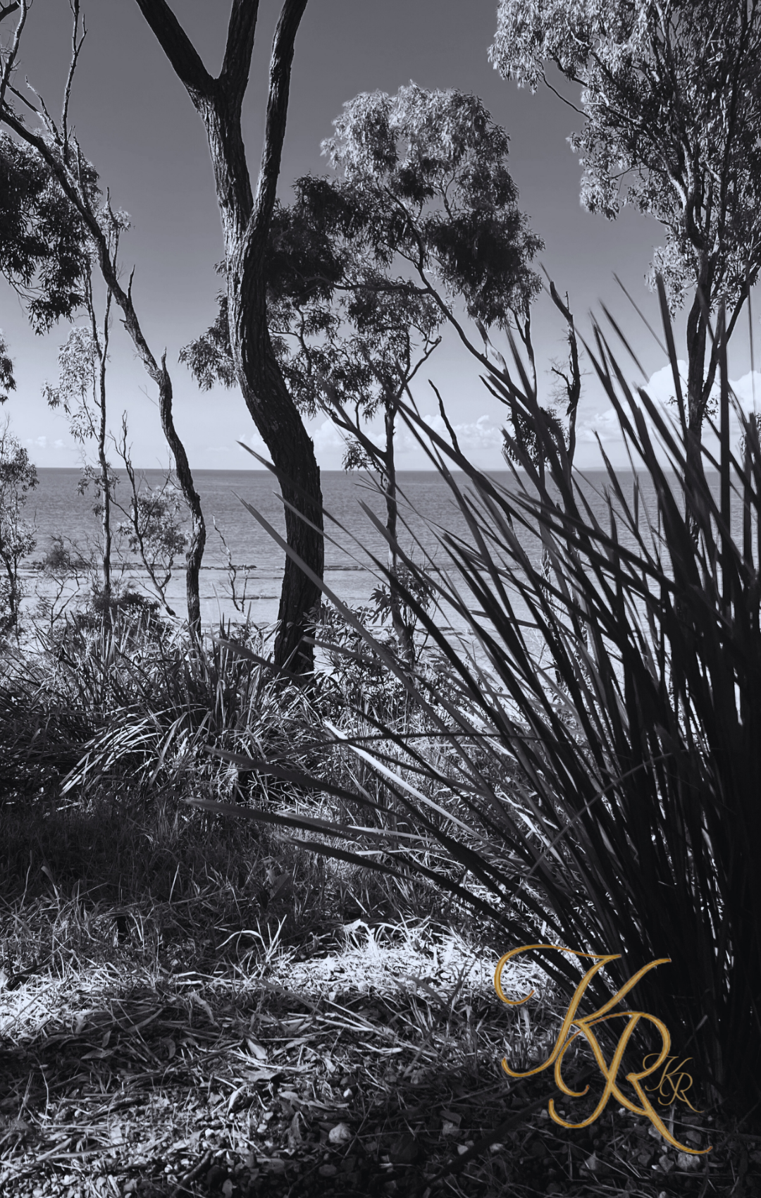 What the Trees Know — Digital Art Edition