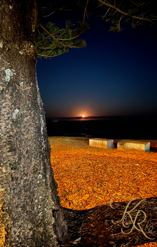 When the Night Opens — Digital Art Edition